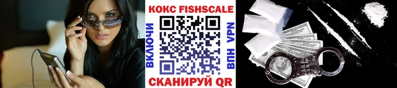 Купить закладки  Касимов  Кокаин Fish Scale 