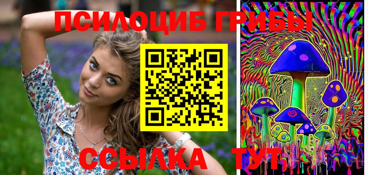 Галлюциногенные грибы Cubensis Касимов