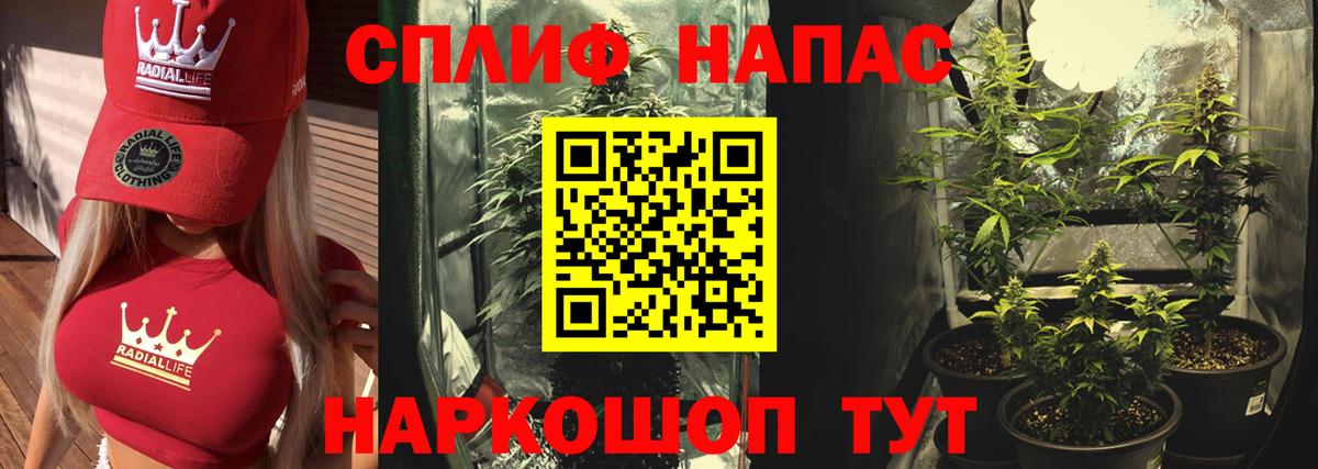 Марихуана план Касимов