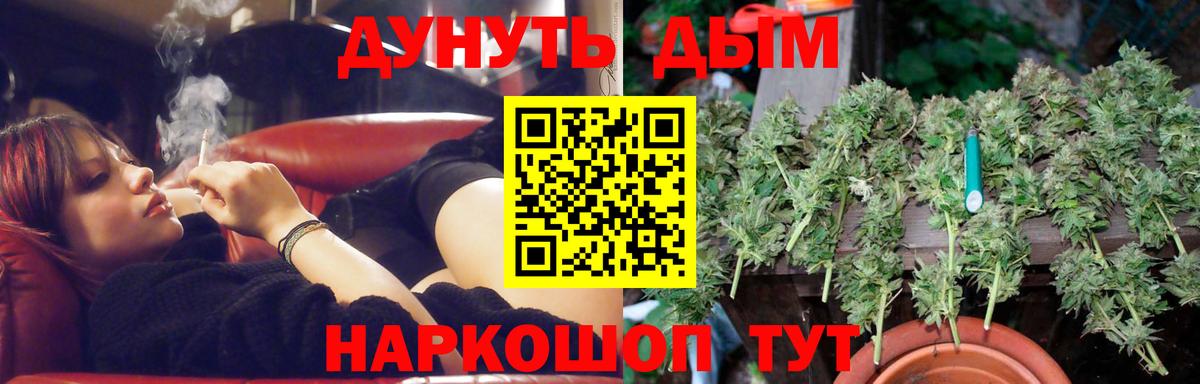 Марихуана планчик  Шишки марихуана конопля  Канабис планчик  Касимов 